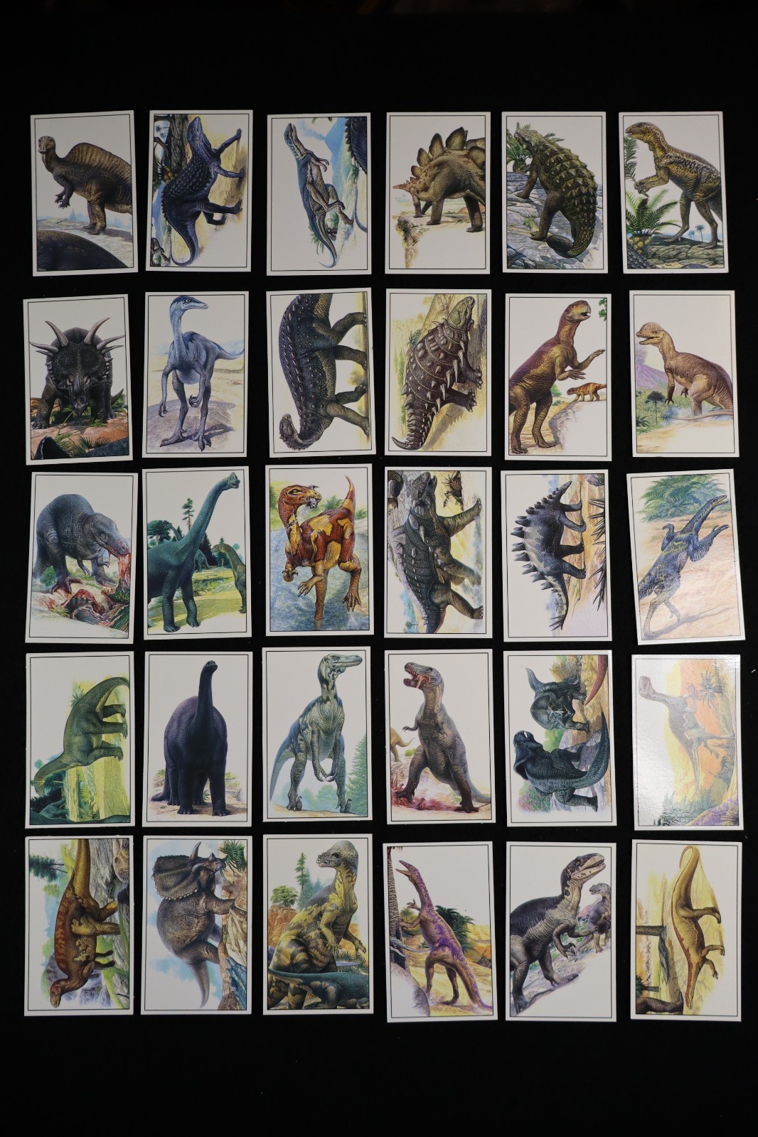 Jacobs Trade Cards School of Dinosaurs 1994 Complete Set 30