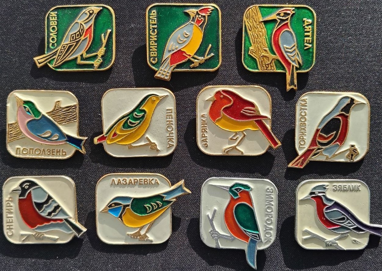 Complete Set 11 Vintage USSR Bird Pins Badges Soviet Enamel Birds Ornithology Complete Set 11 Vintage USSR Bird Pins Badges Soviet Enamel Birds Ornithology