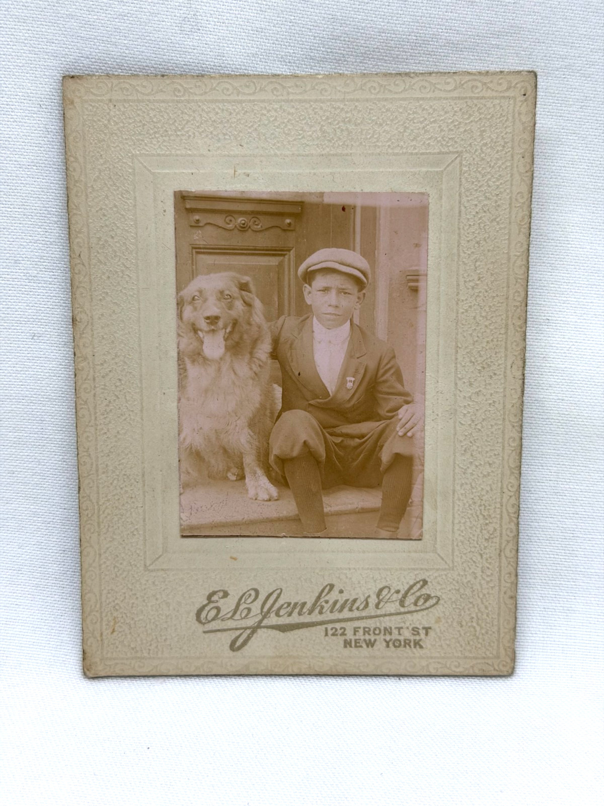 1913 Small Cabinet Card Photo Boy w/His Dog on Street Steps E.L. Jenkins & Co NY
