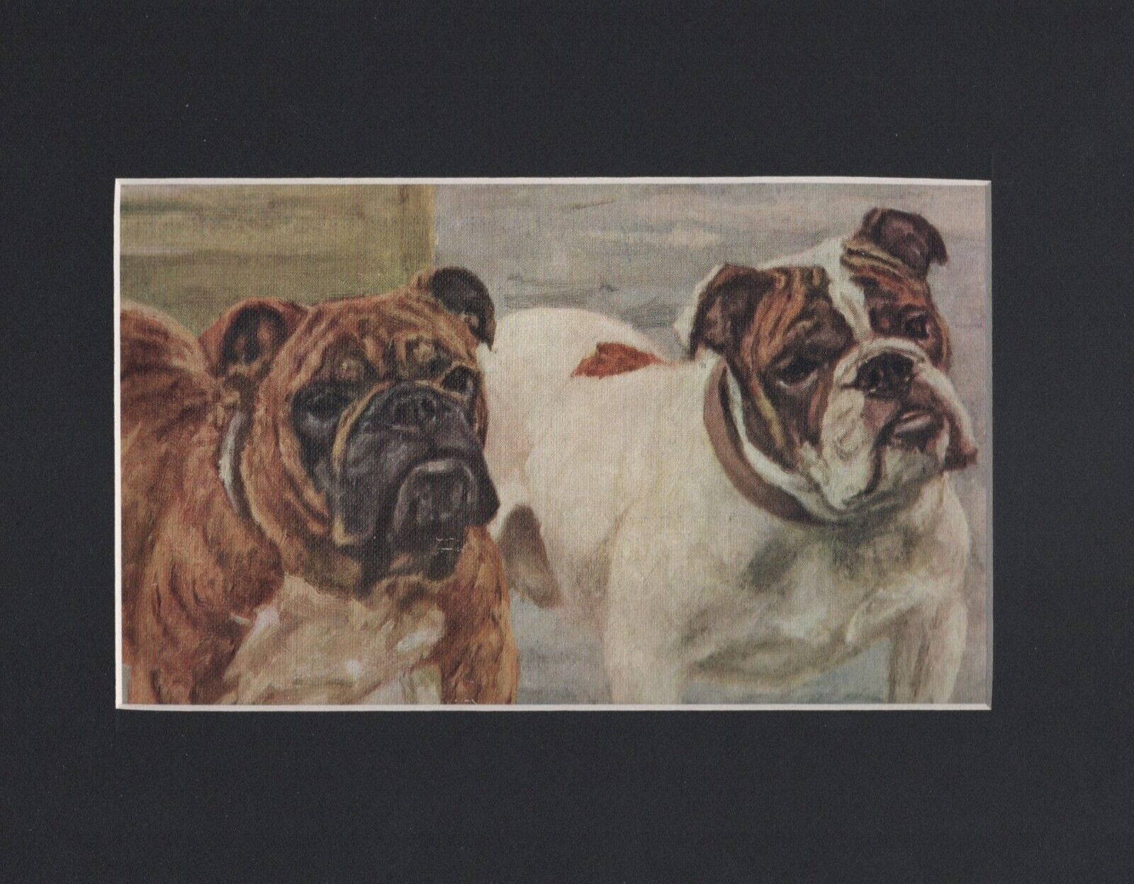 Vintage 1934 English Bulldog Print - CUSTOM MATTED - Dog Art Print - Ready Gift