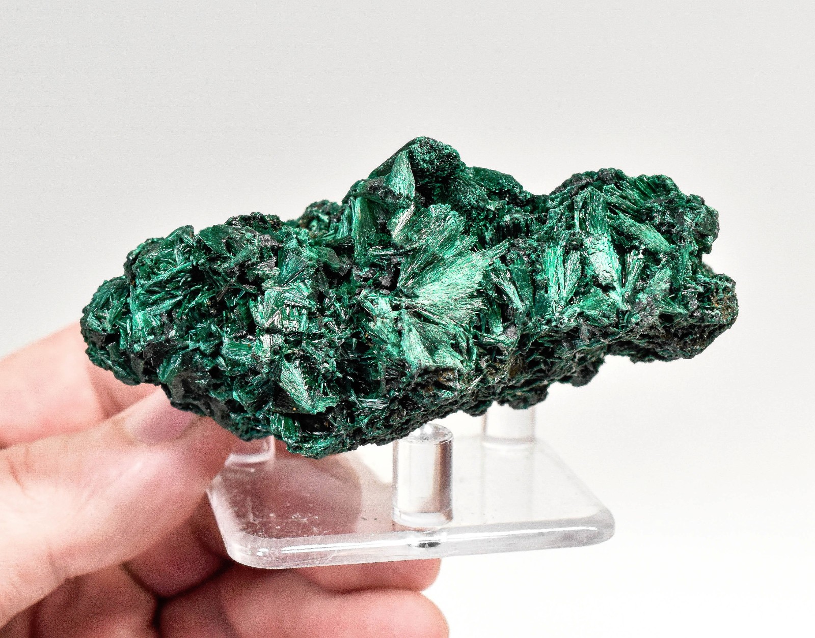 3.30" CHATOYANT FIBROUS MALACHITE Mindingi Mine, Congo Q868 3.30" CHATOYANT FIBROUS MALACHITE Mindingi Mine, Congo Q868
