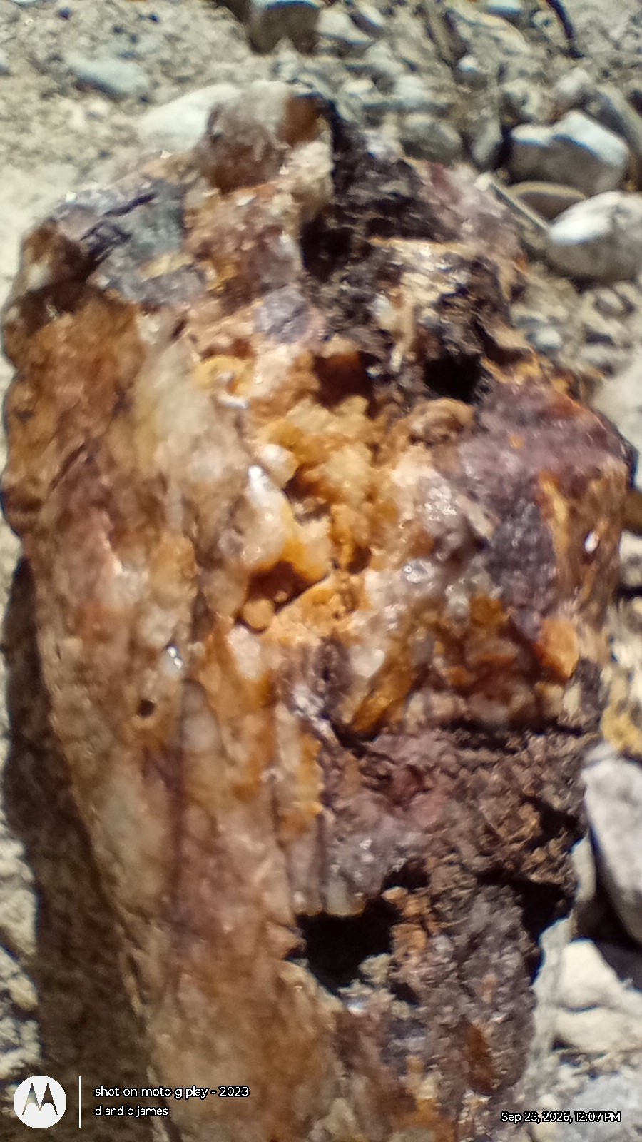 25 Lbs California Gold Ore ** High Grade*** 25 Lbs California Gold Ore ** High Grade***