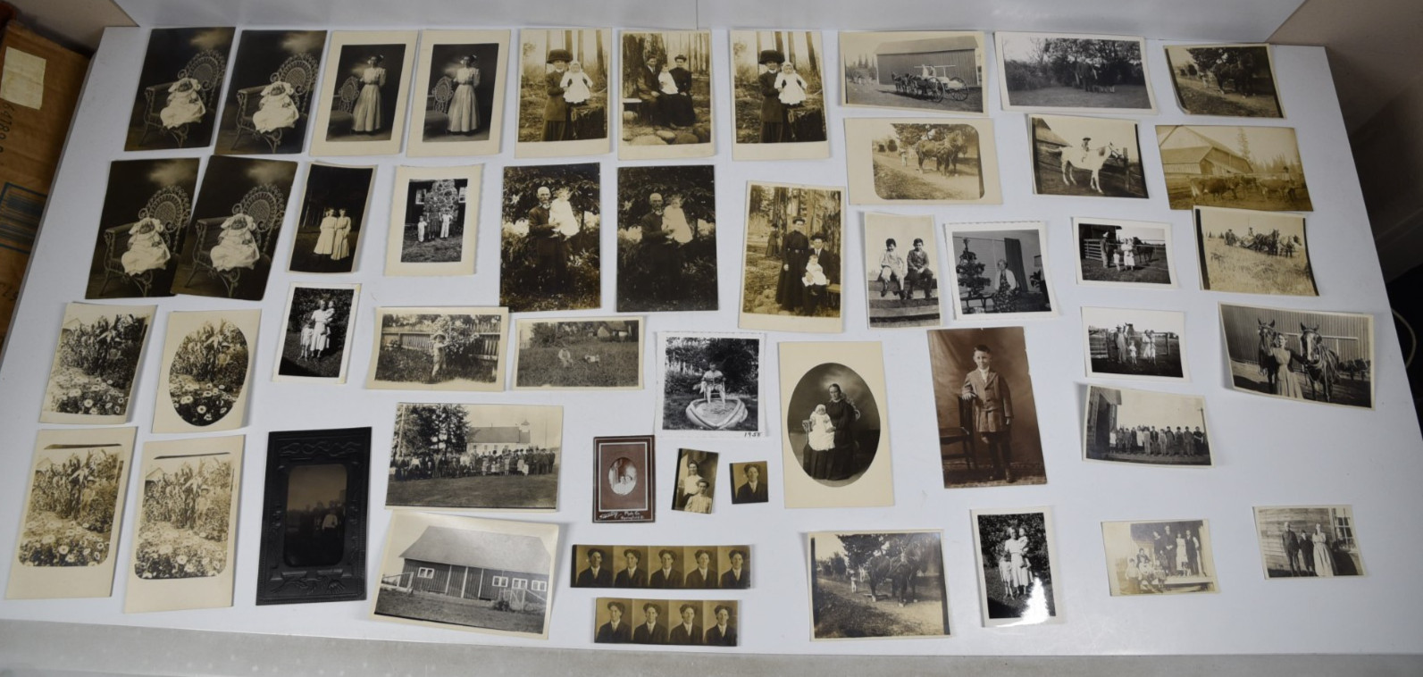 50+ Antique Victorian Family Portraits Original B&W Sepia Tone Americana Farm 50+ Antique Victorian Family Portraits Original B&W Sepia Tone Americana Farm