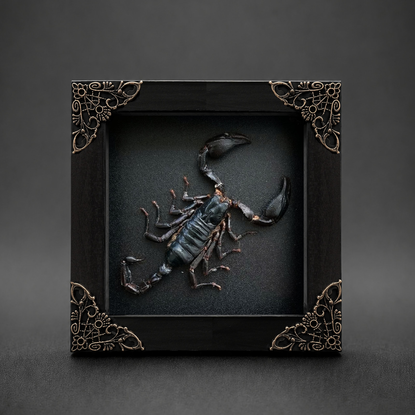 Real Scorpion Taxidermy Framed Halloween Gift Gothic Spooky Wall Art Decor Real Scorpion Taxidermy Framed Halloween Gift Gothic Spooky Wall Art Decor
