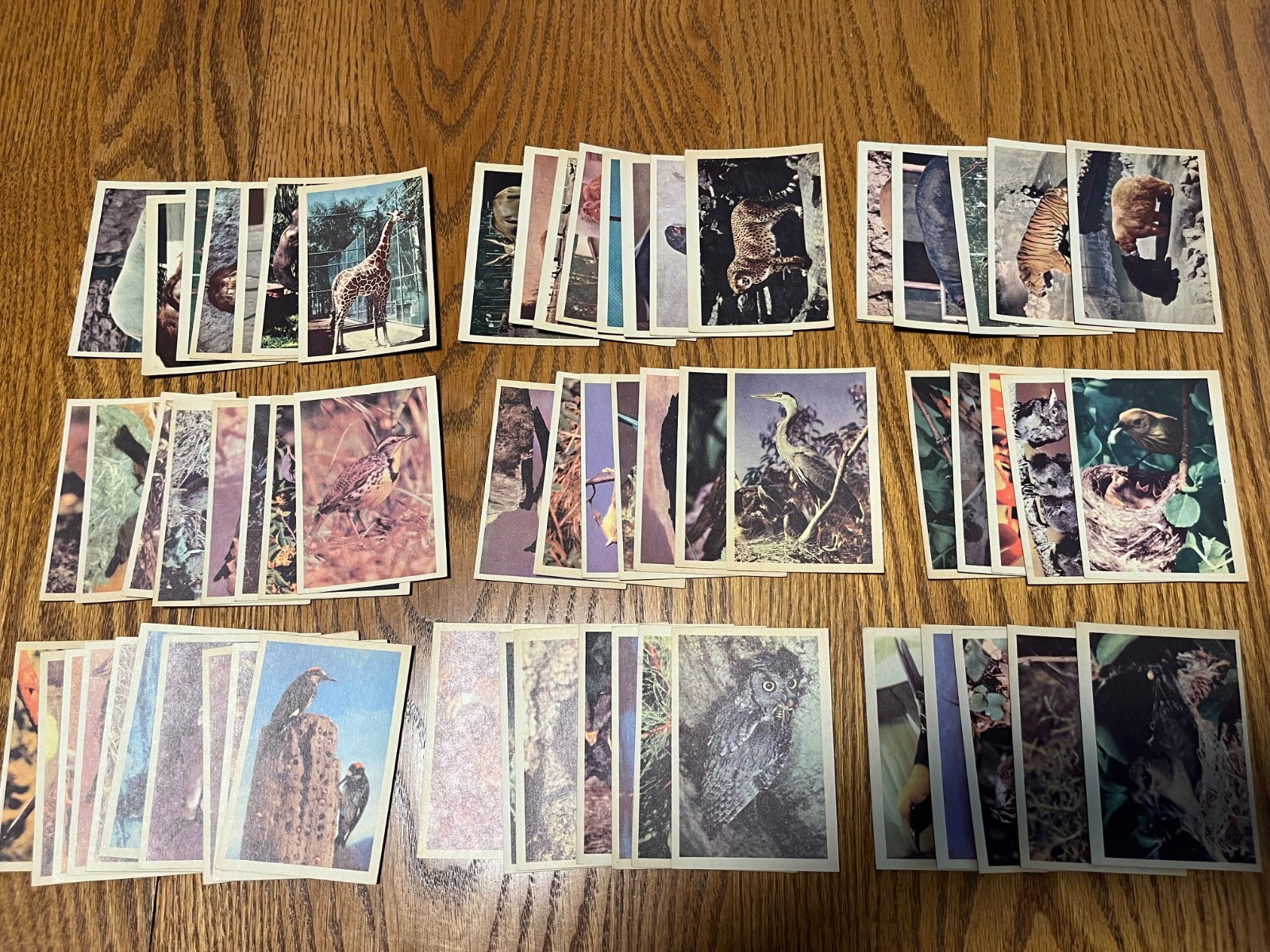 PREMIER BIRDS & ANIMALS TRADING CARDS - Complete Sets Oak Manufacturing 1958