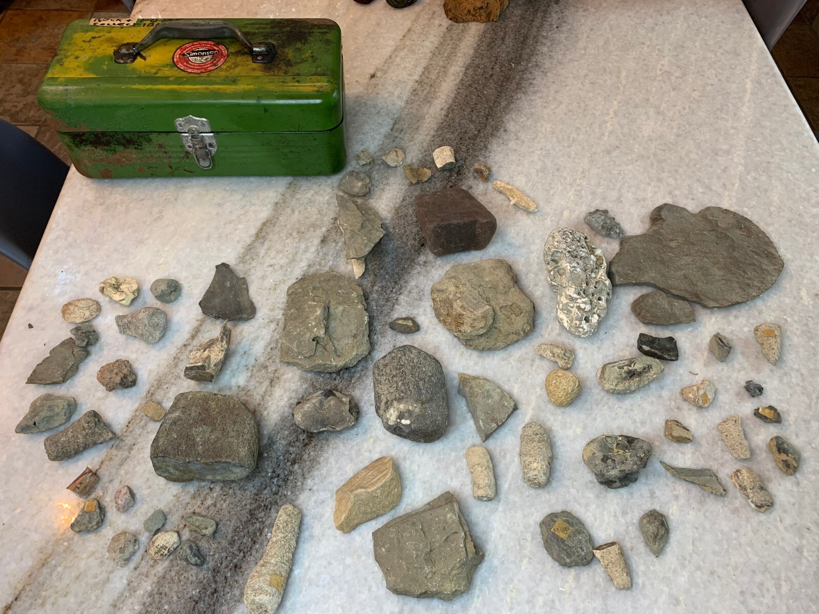 Antique-Vintage Fossil & Rock Collection w/ Case