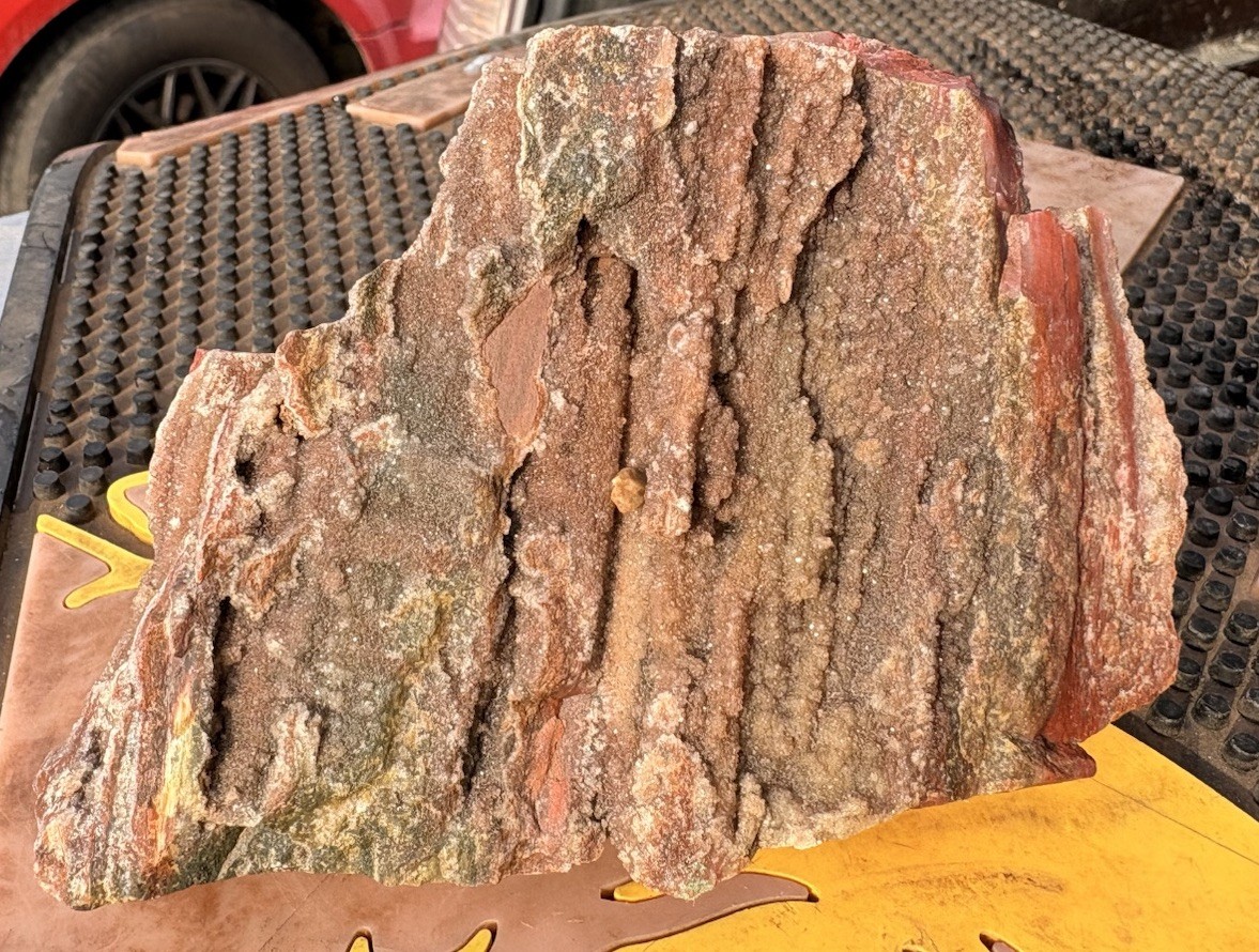 ☘️RR⛏️: Top Quality Druzy Arizona Rainbow Petrified Wood 1 Lb 10 Oz. 🌈 ☘️RR⛏️: Top Quality Druzy Arizona Rainbow Petrified Wood 1 Lb 10 Oz. 🌈