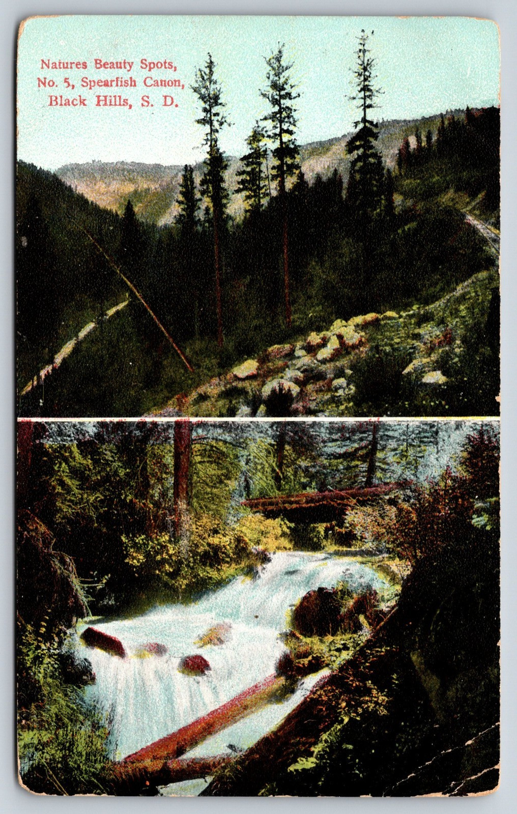 Vintage Postcard Spearfish Canyon Black Hills South Dakota