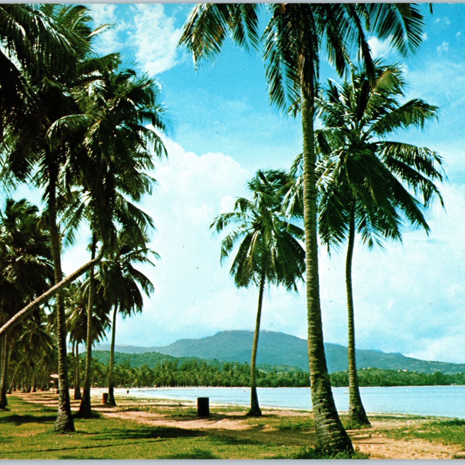 c1960s Luquillo Beach, Puerto Rico Beach Resort Residential Vtg Oversized PC 3S