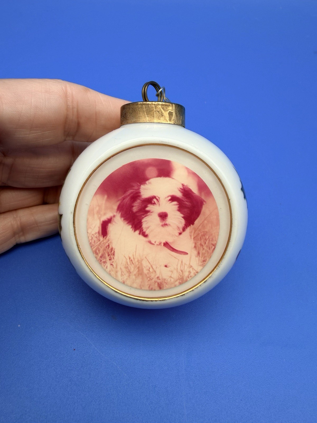 Vintage 1991 Dog Puppy NOEL Glass Christmas Ornament Victorian Holly 2.5” Vintage 1991 Dog Puppy NOEL Glass Christmas Ornament Victorian Holly 2.5”