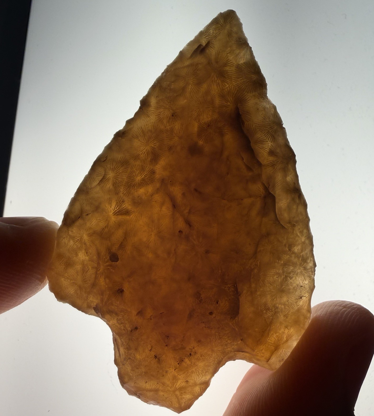 Translucent Corral Arrowhead Central Florida Authentic Artifact 2.28” Translucent Corral Arrowhead Central Florida Authentic Artifact 2.28”