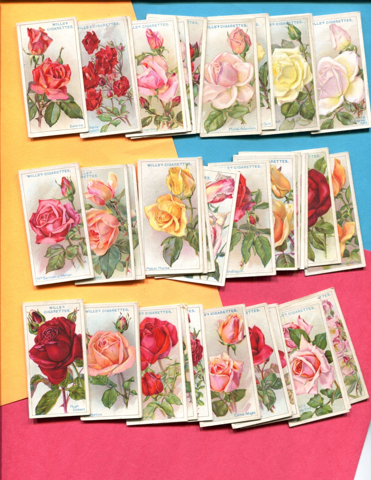 1926 W. D. & H. O. WILLS LTD. ROSES 50 DIFFERENT TOBACCO CARD SET