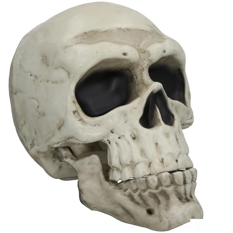 22" Giant Articulated Plastic Skull Halloween Decoration Prop Movable - FunWorld 22" Giant Articulated Plastic Skull Halloween Decoration Prop Movable - FunWorld