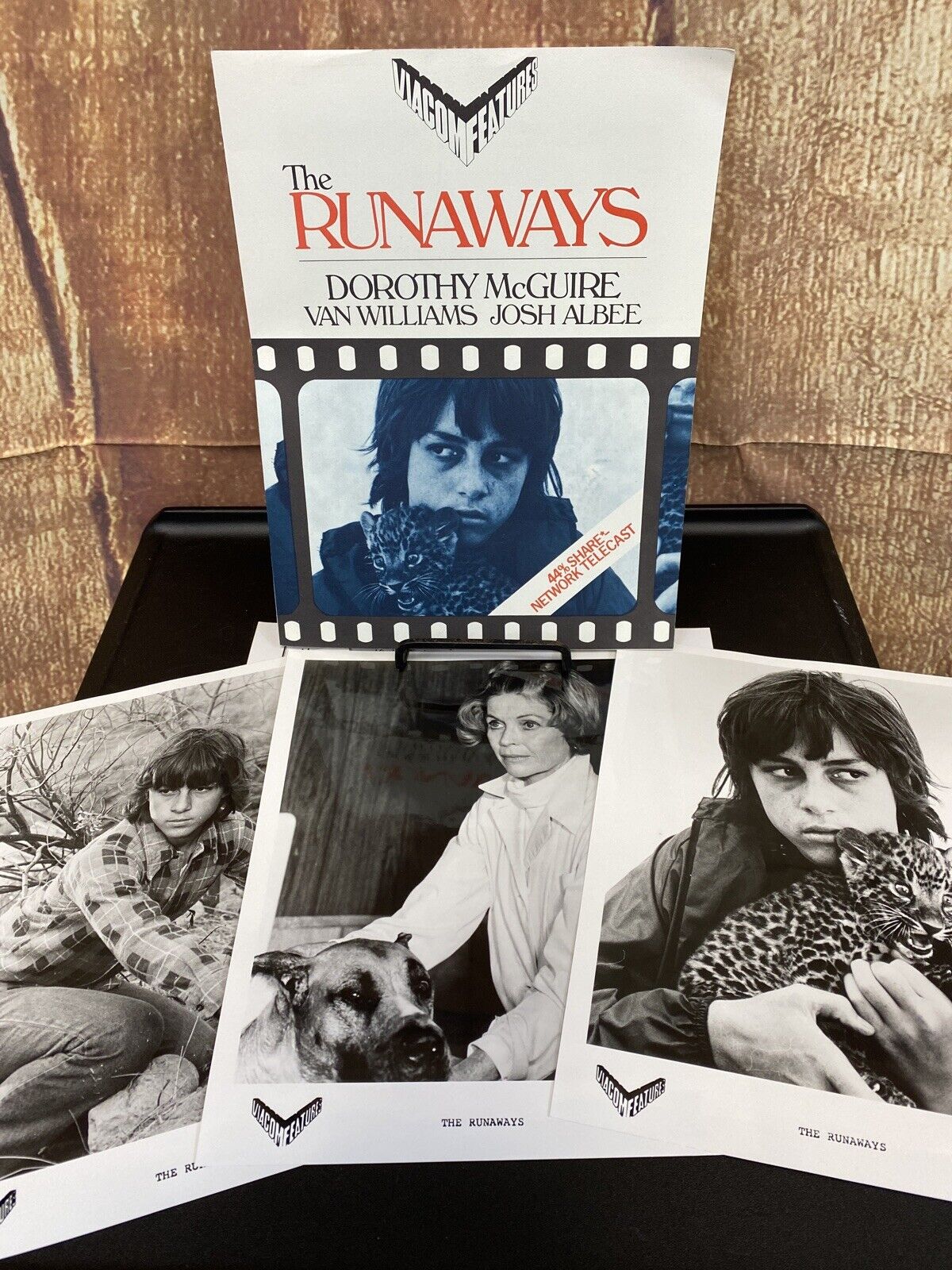 The Runaways 1975 Lot Of 4 Press Movie Photos Dorothy McGuire/ Van Williams