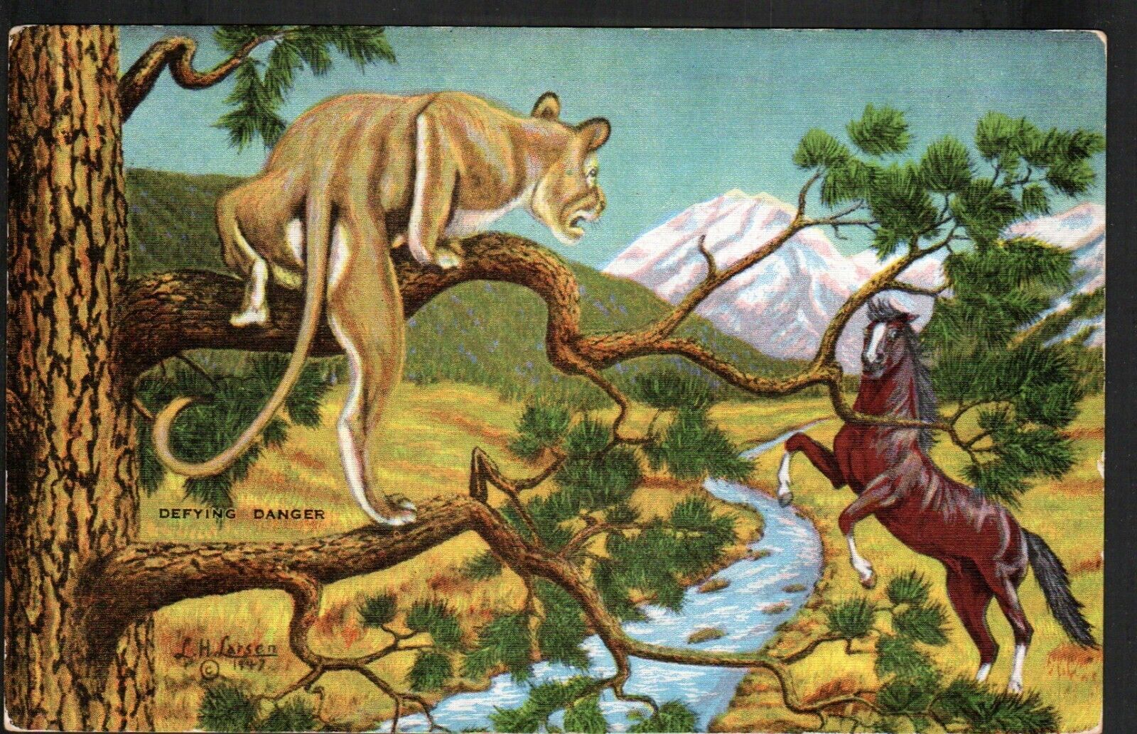 Postcard Artist Lewis H Dude Larsen Defying Danger Horse Cougar Mountain Lion