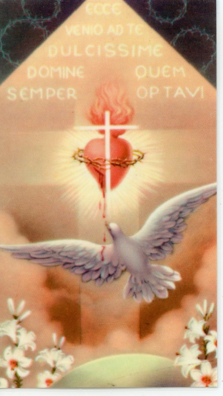 PRAYER TO THE HOLY SPIRIT - Laminated  Holy Cards.  QUANTITY 25 CARDS