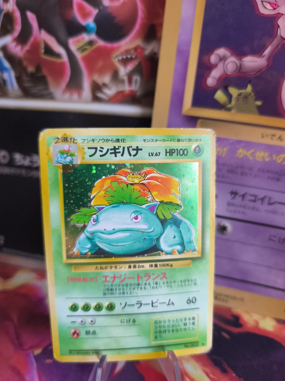 Pokemon Card Card Bisaflor Venusaur Base Expansion Set Holo Wotc Japanese LP