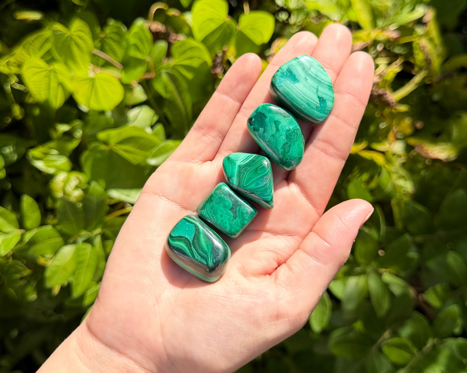 5 Malachite Tumbled Stones: 'A' Grade Natural Polished Crystals 5 Malachite Tumbled Stones: 'A' Grade Natural Polished Crystals