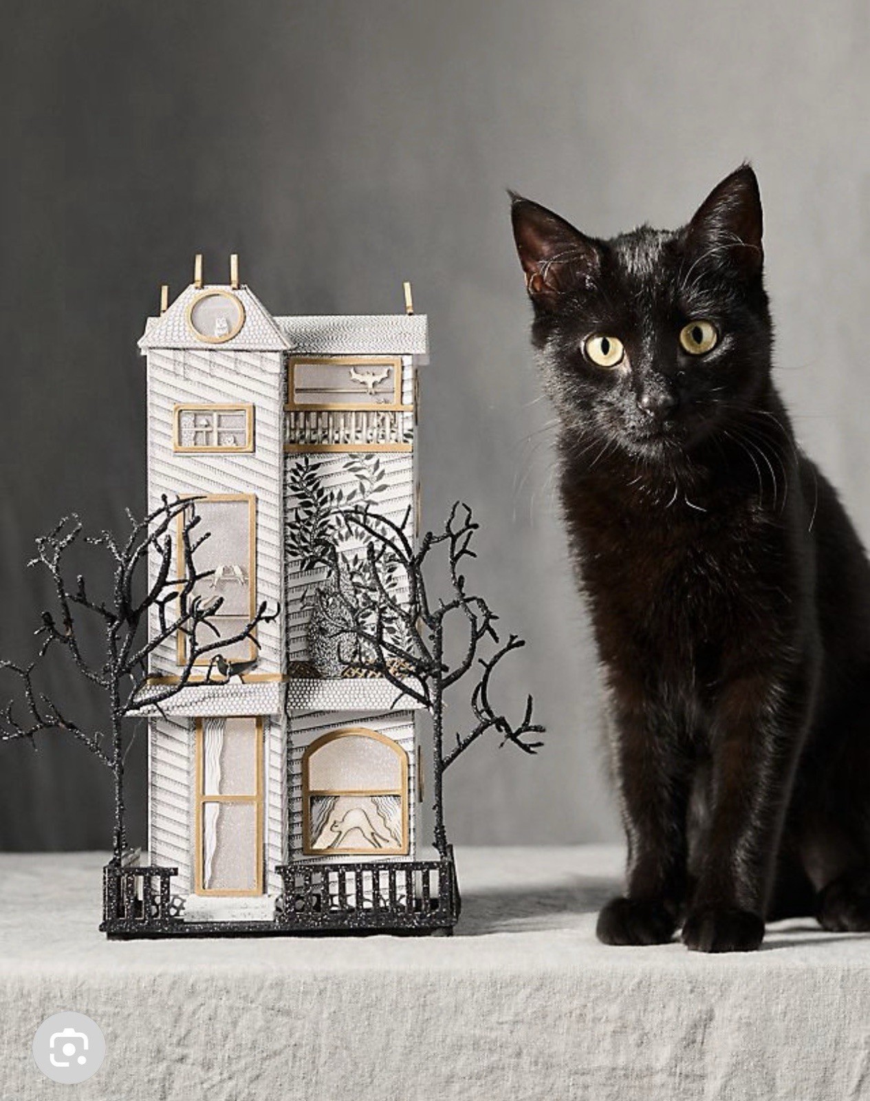Anthropologie Florence Balducci Black Cat Halloween House Light Up Anthropologie Florence Balducci Black Cat Halloween House Light Up