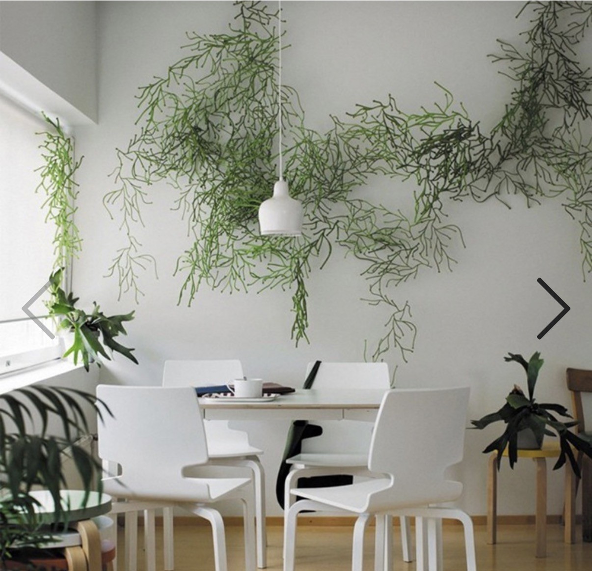 Vitra Design Algue Wall Architectural Mesh Web Plant Art Verde Green 50 Pc +Pins Vitra Design Algue Wall Architectural Mesh Web Plant Art Verde Green 50 Pc +Pins
