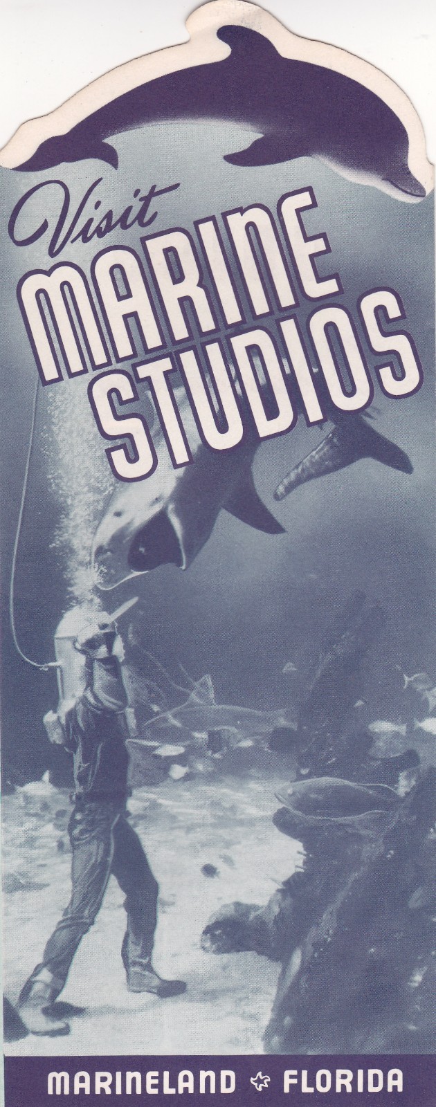 c1955 Marine Studios Marineland Florida Promotional Brochure c1955 Marine Studios Marineland Florida Promotional Brochure