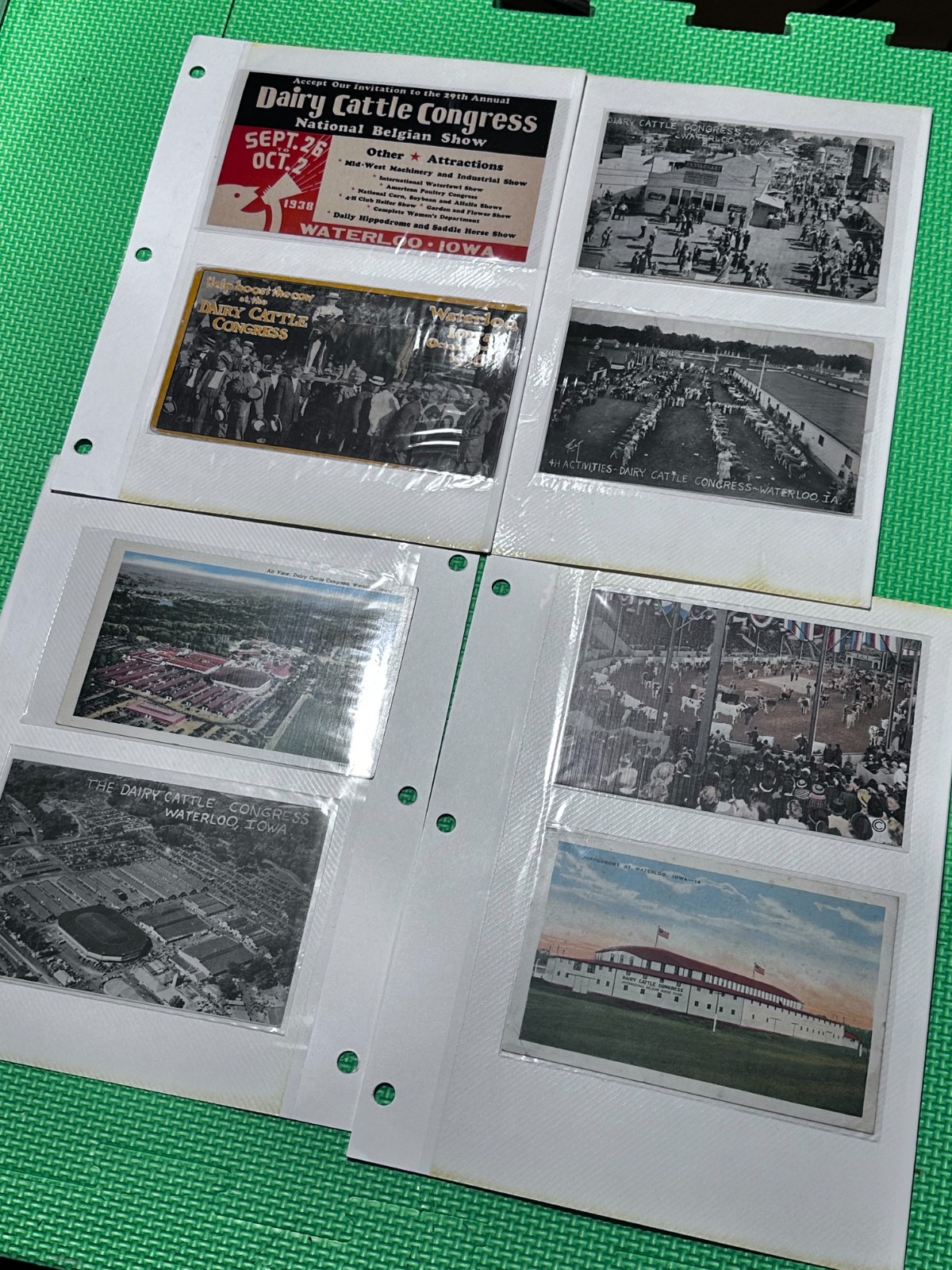 Lot of 22 Dairy Cattle Congress Postcards, Waterloo, Iowa Lot of 22 Dairy Cattle Congress Postcards, Waterloo, Iowa