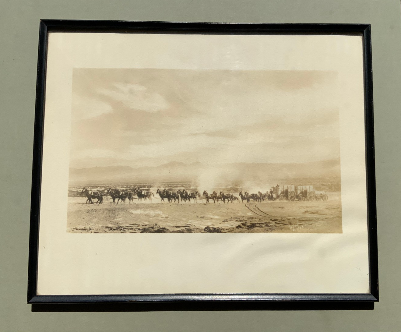 VTG 1933 Photo By Stephan Willard 20 Mule Team Death Valley Borax - Western VTG 1933 Photo By Stephan Willard 20 Mule Team Death Valley Borax - Western