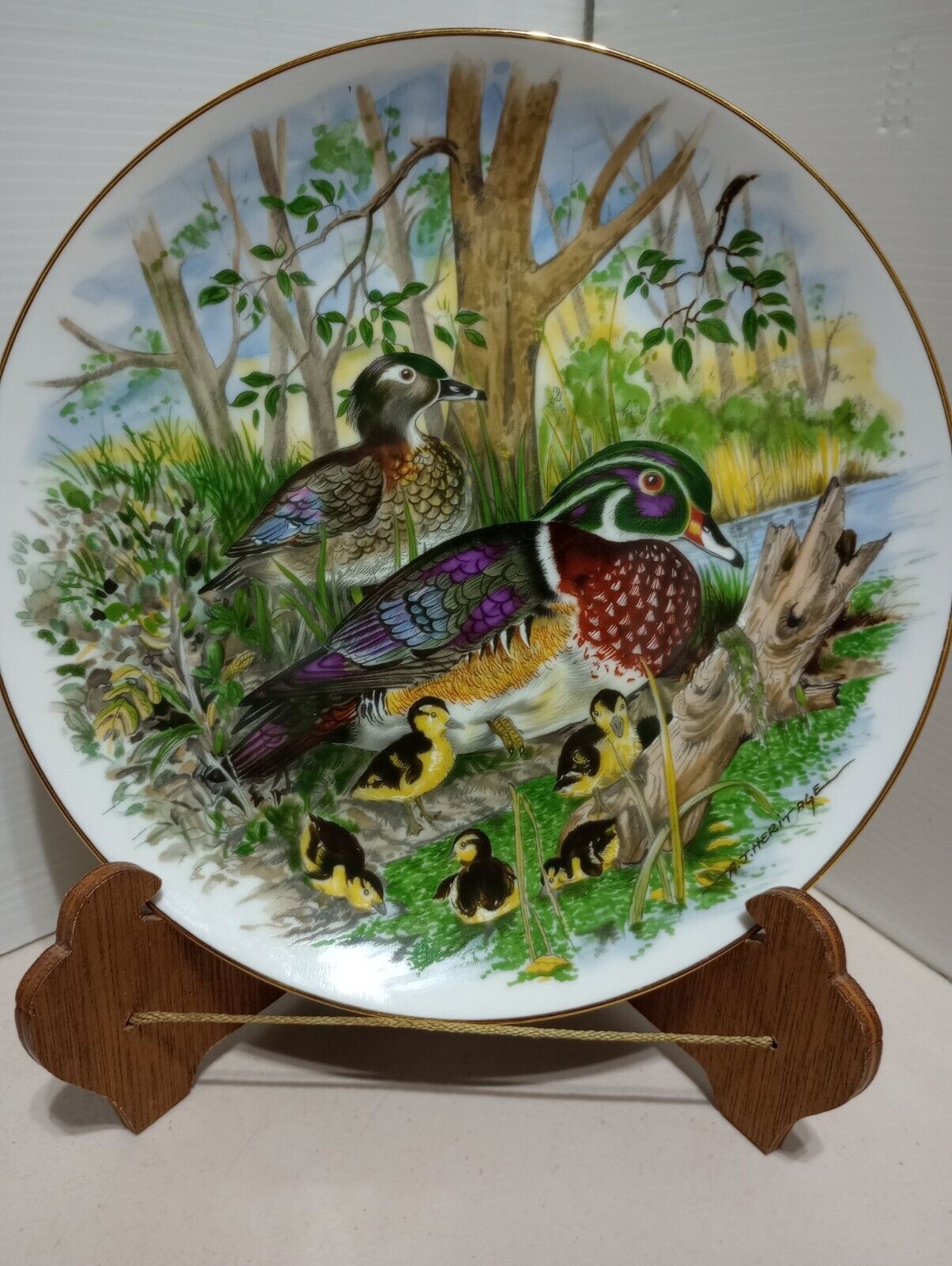 Wood Duck Game Birds of the South by Southern Living Gallery 1982 Plate # 15114