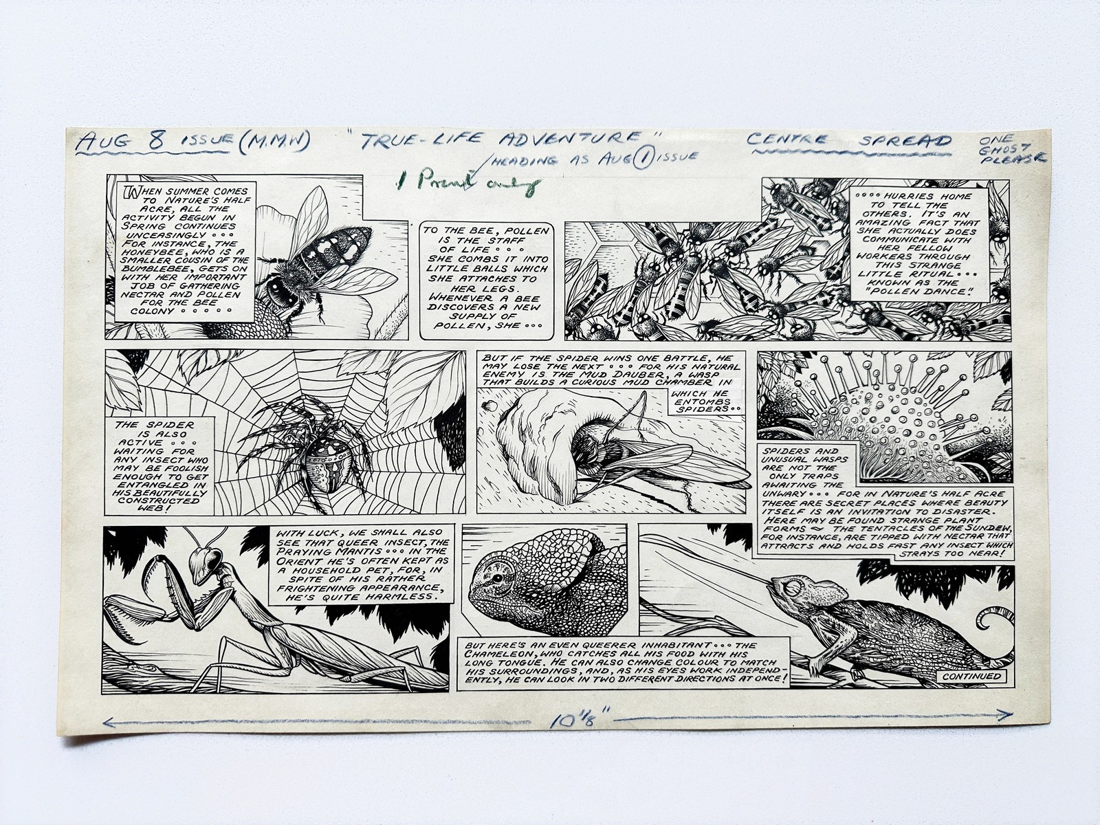 Original 1953 Disney Mickey Mouse Weekly Comic Art Basil Reynolds True Life Original 1953 Disney Mickey Mouse Weekly Comic Art Basil Reynolds True Life