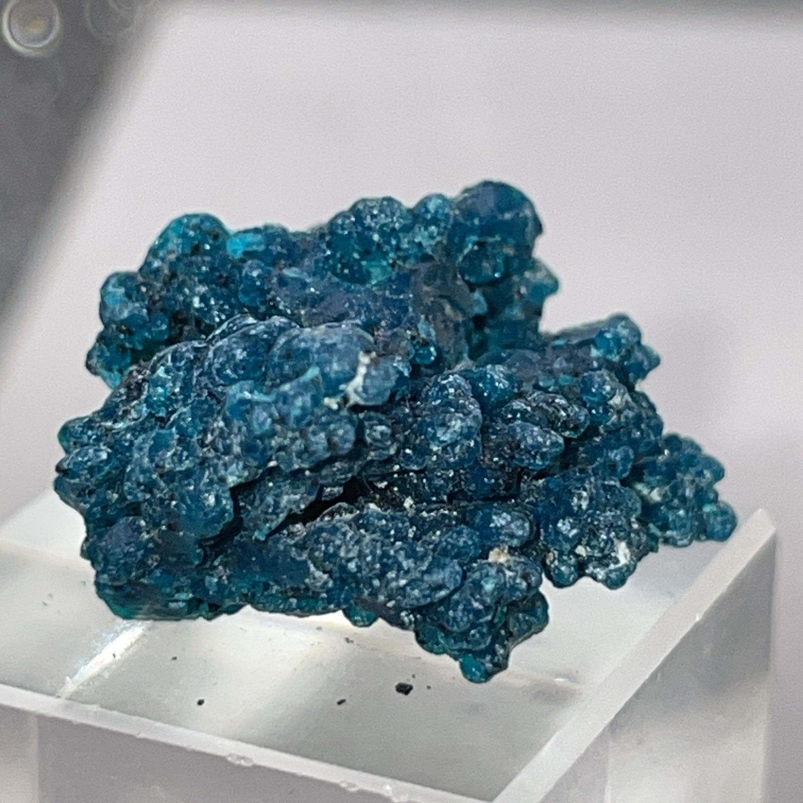 RARE GEM BLUE MALACHITE PSEUDOMORPH AFTER CHRYSOCOLA PERU RARE GEM BLUE MALACHITE PSEUDOMORPH AFTER CHRYSOCOLA PERU