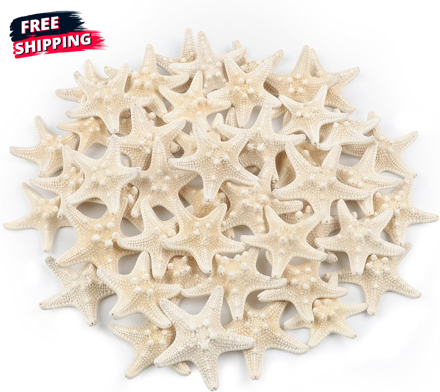 48 PCS Starfish, Mini Starfish 1" to 2" Small Knobby Starfish Natural ... 48 PCS Starfish, Mini Starfish 1" to 2" Small Knobby Starfish Natural ...