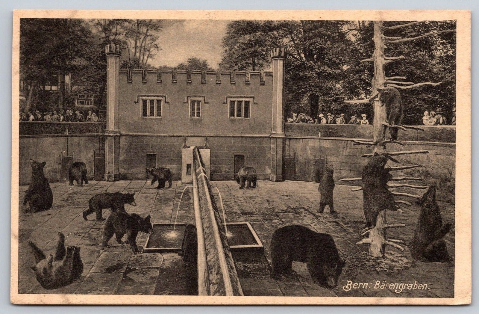 Vintage Bern Switzerland Postcard Bears Pit Barengraben Fosse aux Ours c1915 B&W Vintage Bern Switzerland Postcard Bears Pit Barengraben Fosse aux Ours c1915 B&W