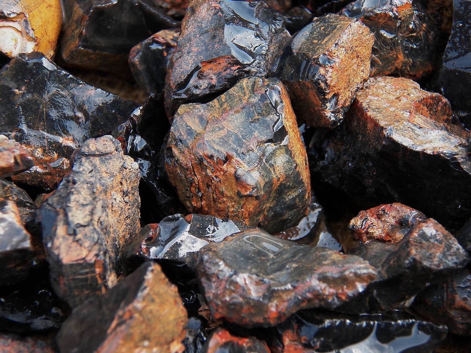 1000 Carat Lots of Black Onyx Rough - Plus a Very Nice FREE Faceted Gemstone 1000 Carat Lots of Black Onyx Rough - Plus a Very Nice FREE Faceted Gemstone