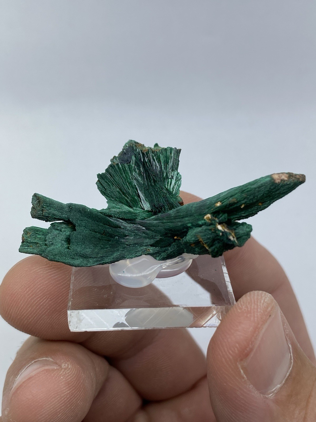 Fibrous Chatoyant Malachite Specimen - DRC - Fibrous Chatoyant Malachite Specimen - DRC -