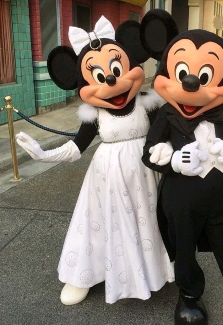 MINNIE MOUSE DISNEYLAND CHARACTER COSTUME FORMAL PAIR OF GLOVES CAST MEMBER 