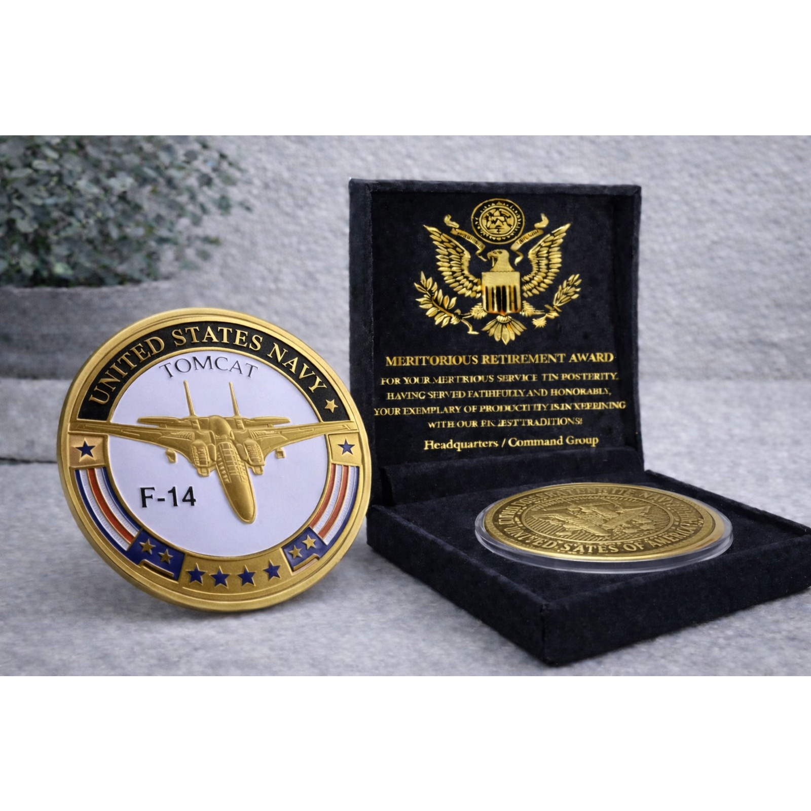 U S NAVY F-14 TOMCAT Challenge Coin USN w/ Retirement Award U S NAVY F-14 TOMCAT Challenge Coin USN w/ Retirement Award