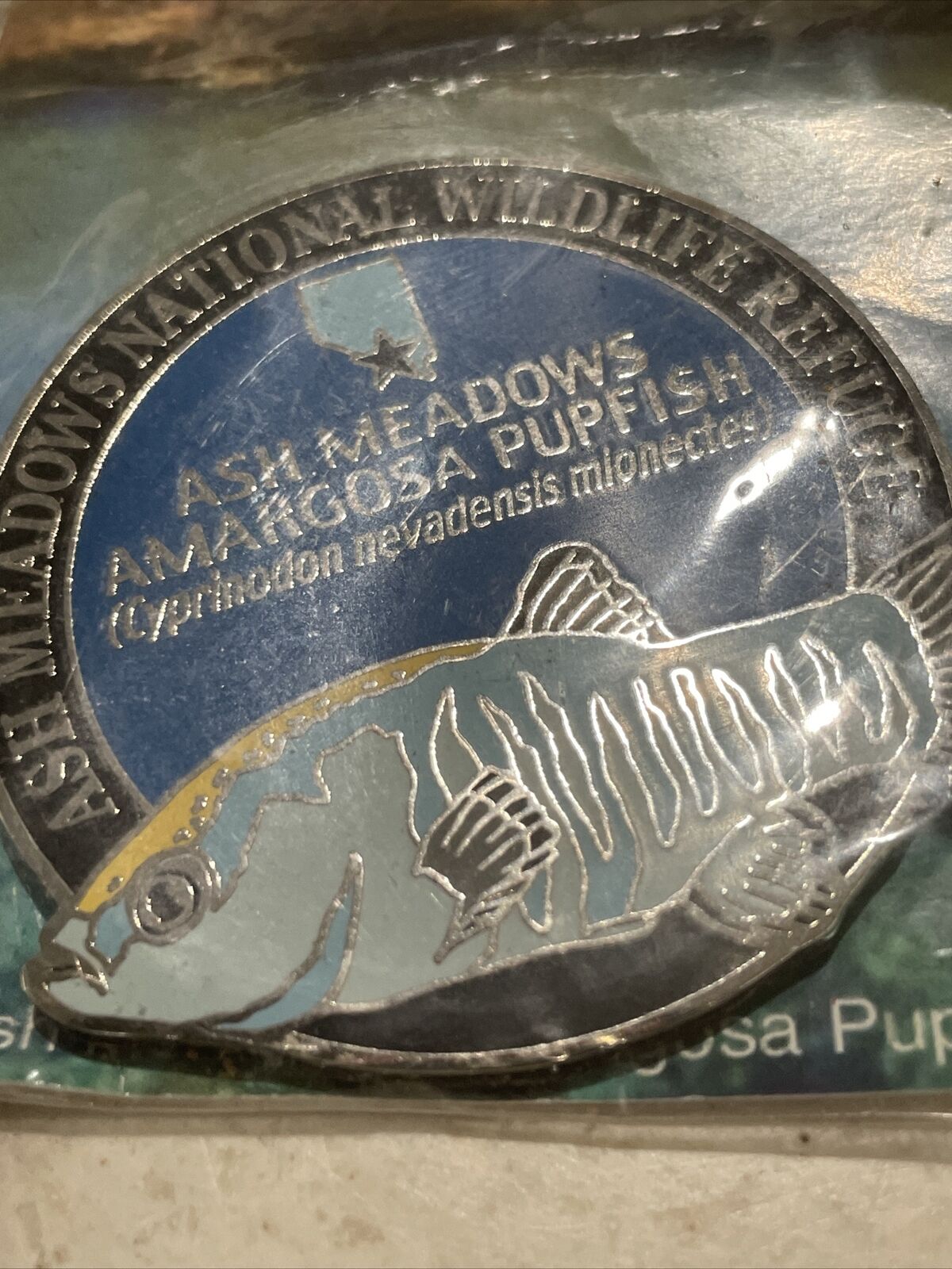 Ash Meadows National Wildlife Refuge AMARGOSA PUPFISH Endemic  Souvenir Medal