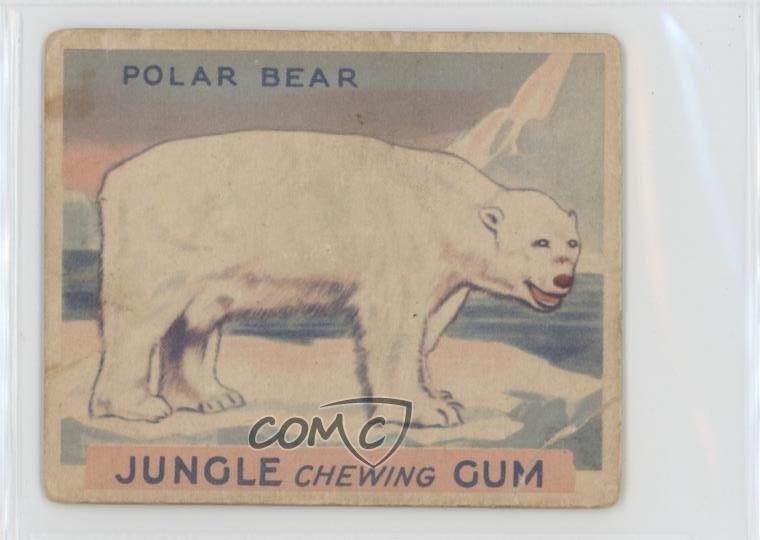 1930 World Wide Gum Jungle Gum R78 Polar Bear #45 04le 1930 World Wide Gum Jungle Gum R78 Polar Bear #45 04le