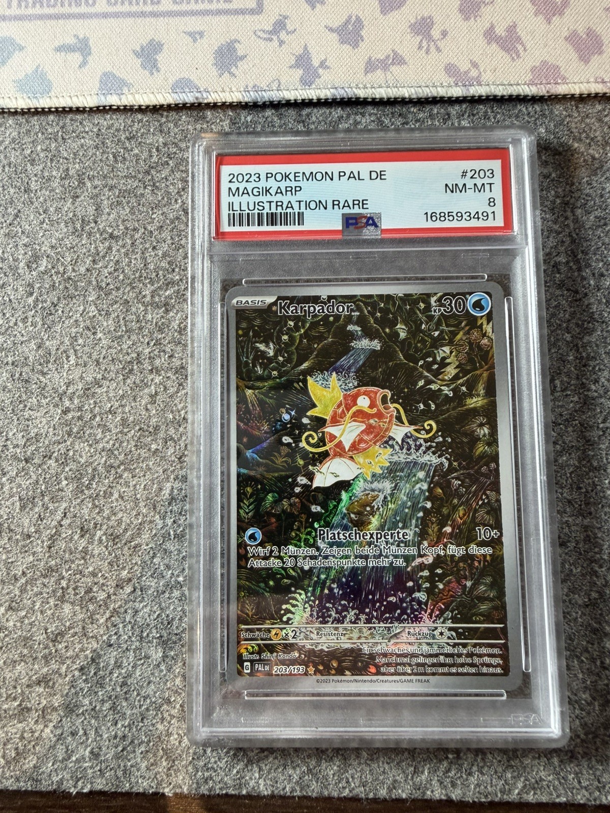 Pokemon TCG PSA 8 KARPADOR Evolutions in Paldea 203/193 - DE GERMAN Magikarp Pokemon TCG PSA 8 KARPADOR Evolutions in Paldea 203/193 - DE GERMAN Magikarp
