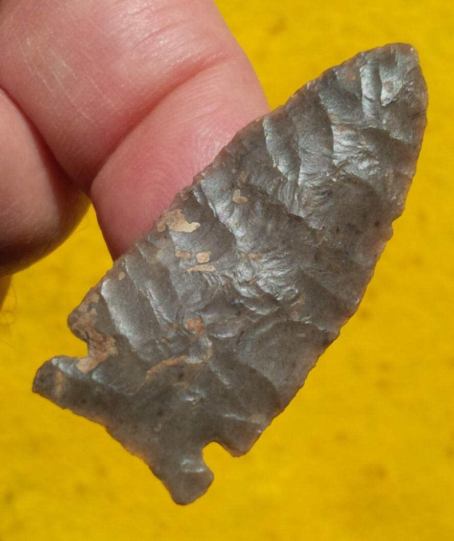 ULTRA THIN 1-11/16" LONG CREEK NEBRASKA ARROWHEAD STERMER COA PROJECTILE POINT