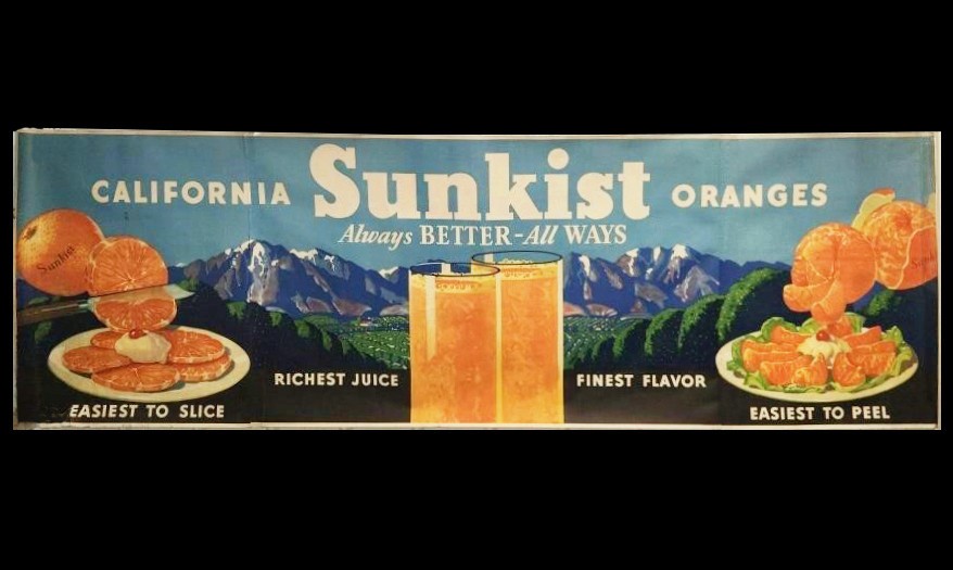 HUGE 114" Sunkist Oranges Banner Poster Advertising Grocery Store Display Vtg