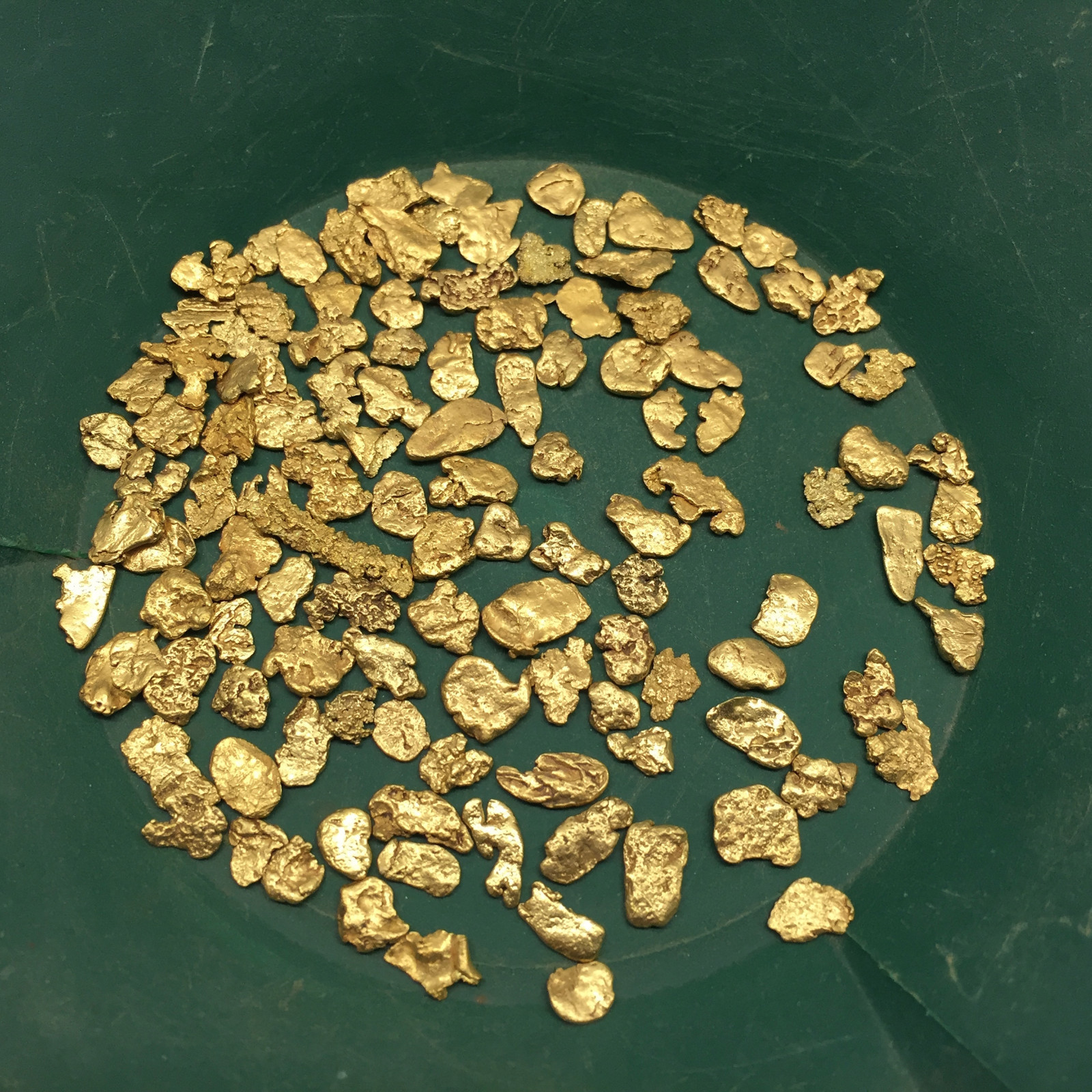 10 pound NUGGET RESERVE ELITE Gold Panning Paydirt - Guaranteed Unsearched 10 pound NUGGET RESERVE ELITE Gold Panning Paydirt - Guaranteed Unsearched