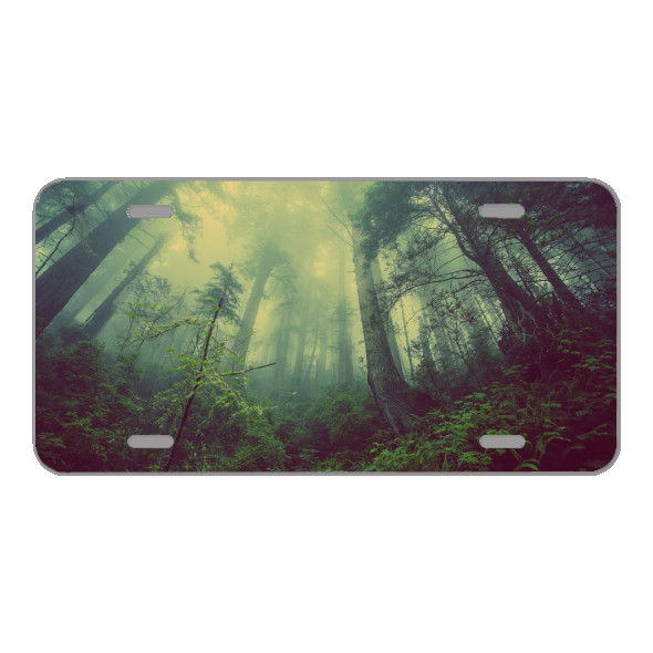 Custom Novelty License Plate With Stunning View Of Trees In Forest Custom Novelty License Plate With Stunning View Of Trees In Forest