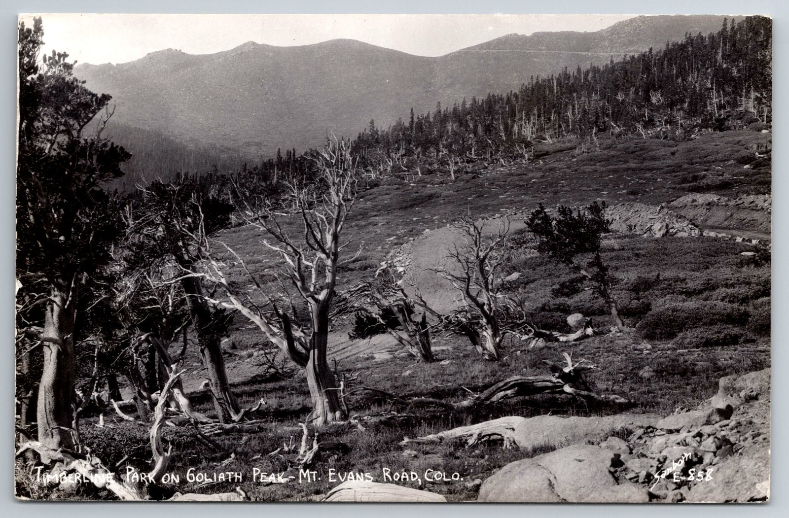 CO, Mt Evans Road, Park on Goliath Peak, Real Photo, RPPC, Vintage Postcard CO, Mt Evans Road, Park on Goliath Peak, Real Photo, RPPC, Vintage Postcard