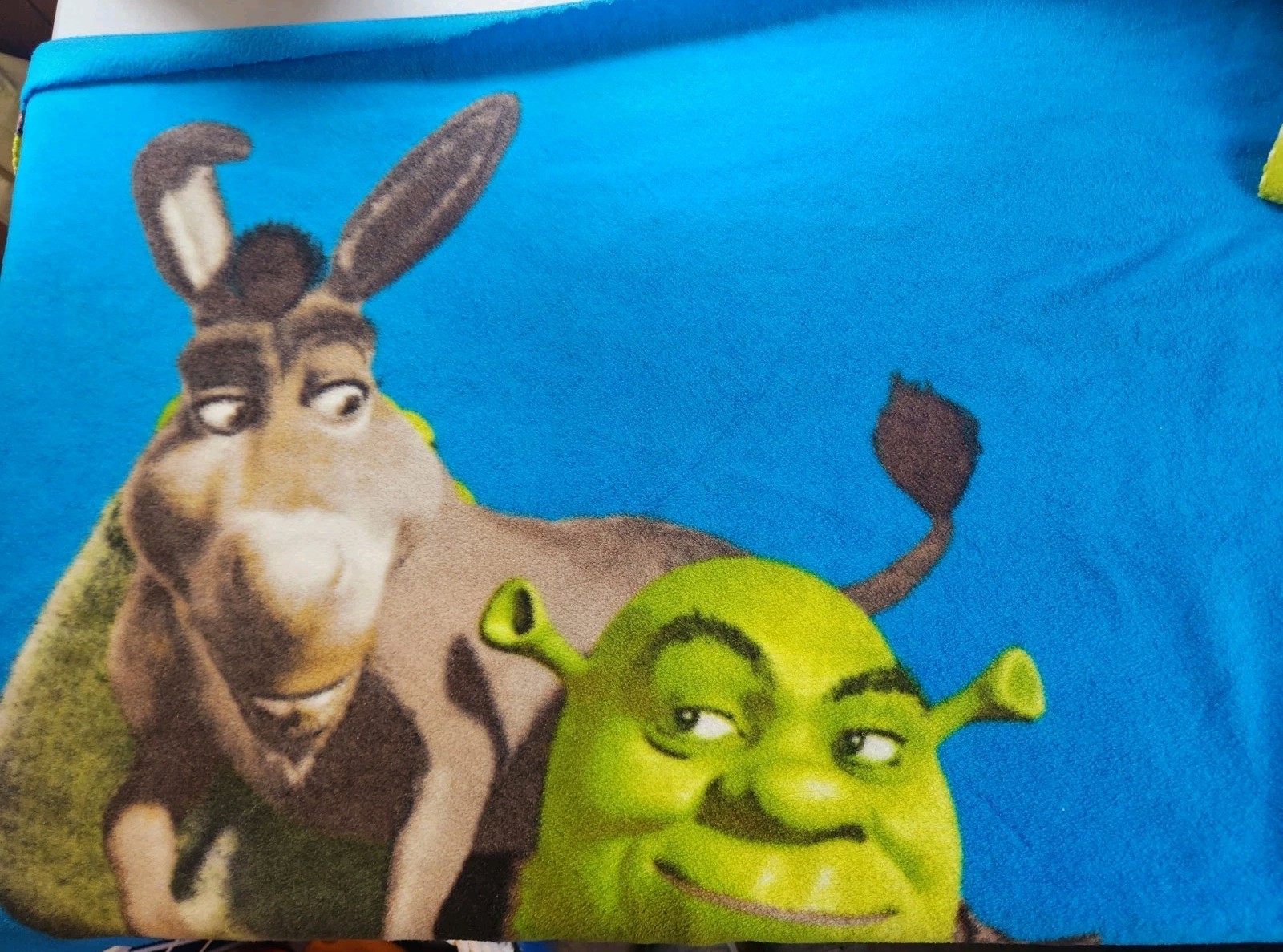 Y2k Shrek 2004 Dreamworks Fleece Blanket Rare Donkey Y2k Shrek 2004 Dreamworks Fleece Blanket Rare Donkey