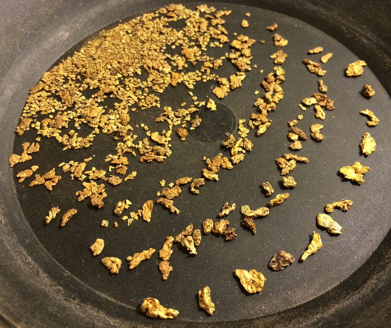Buy our best rich GOLD paydirt concentrates by the 1/2 pound | Bullion Nugget Buy our best rich GOLD paydirt concentrates by the 1/2 pound | Bullion Nugget