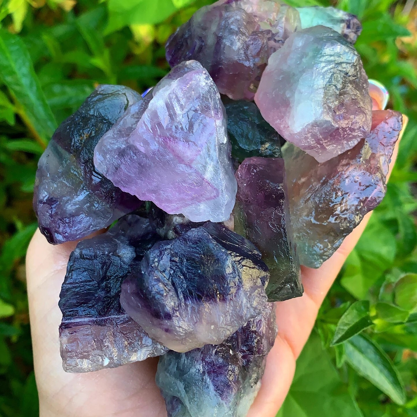 Raw Rough Rainbow Fluorite Chunks Healing Crystal Mineral Rocks Specimens 1PCS Raw Rough Rainbow Fluorite Chunks Healing Crystal Mineral Rocks Specimens 1PCS