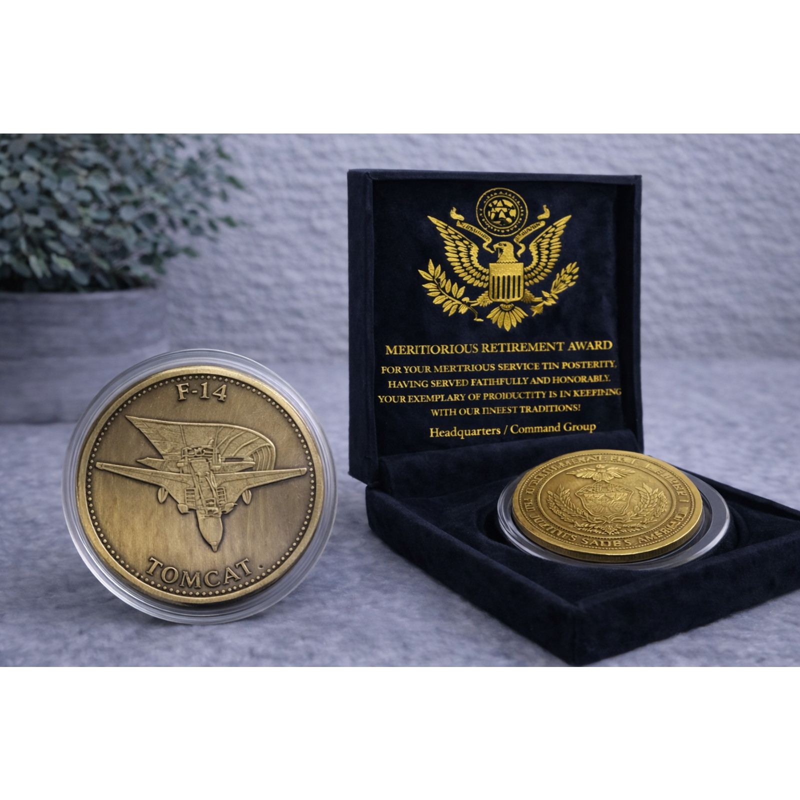 US Navy F-14 Tomcat Challenge Coin United States Navy USN w/ Retirement Award US Navy F-14 Tomcat Challenge Coin United States Navy USN w/ Retirement Award