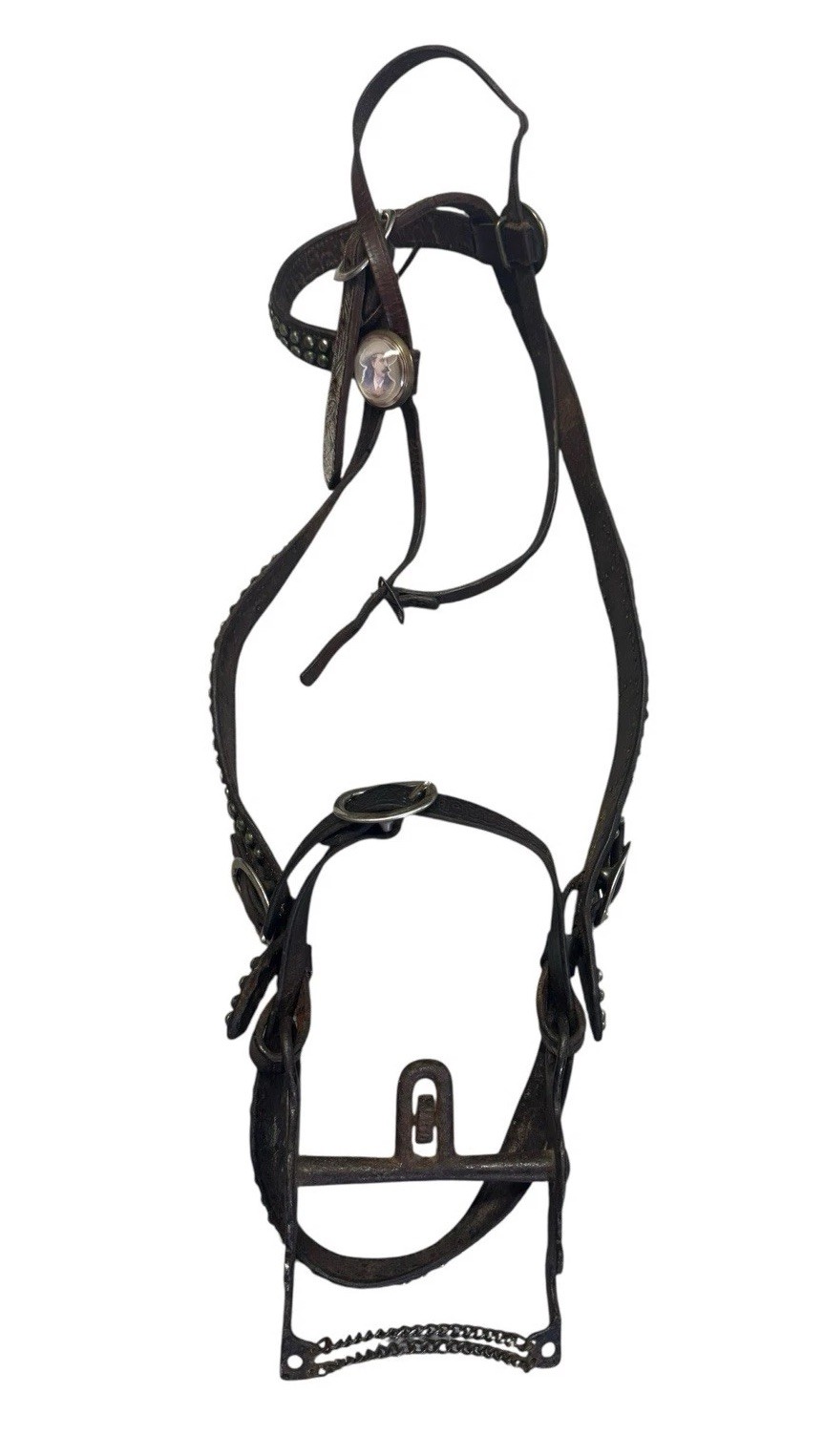 VTG Wide Cheek Bridle Buermann Half-Breed Bird Bit Buffalo Bill Rosetts Cody