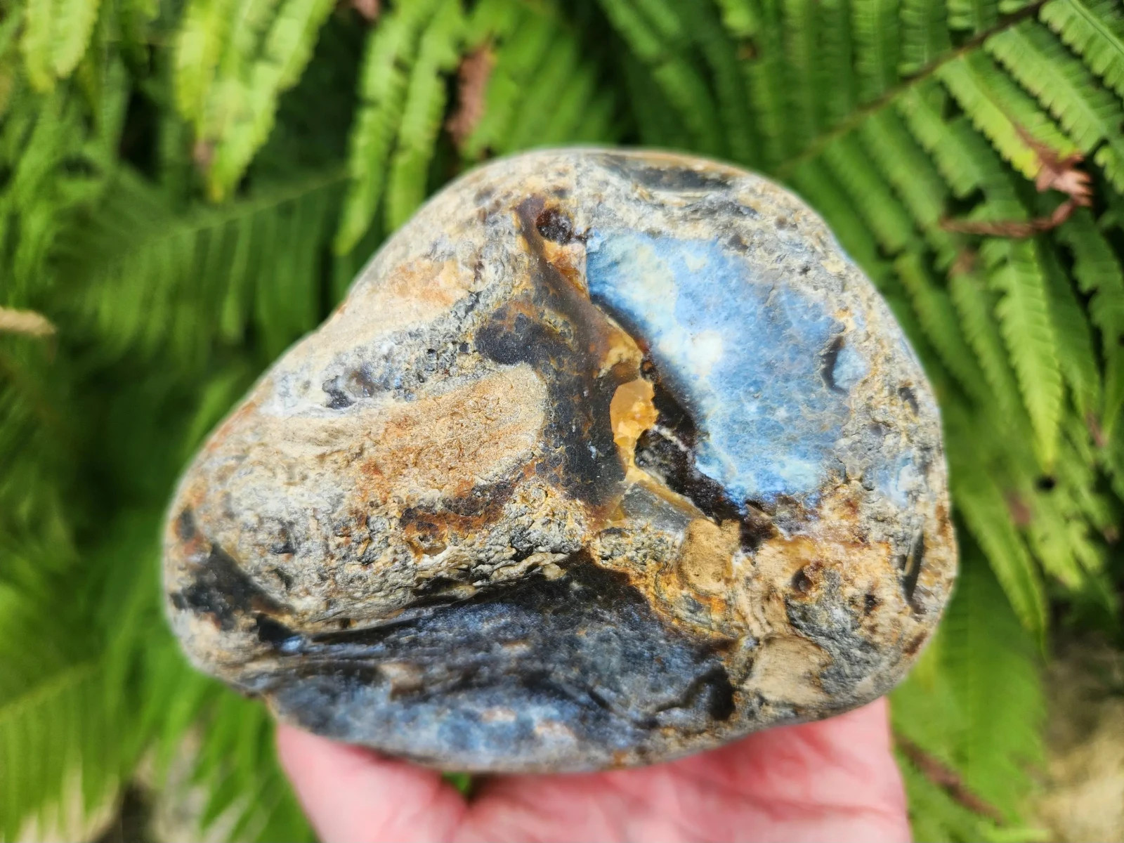 Rare 2-lb Oregon Coast Sard Agate, Rough Brownish-Black Agate, Dark Chalcedony Rare 2-lb Oregon Coast Sard Agate, Rough Brownish-Black Agate, Dark Chalcedony